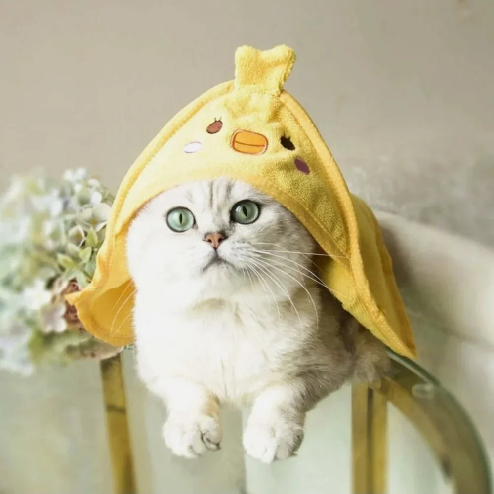 Pet Hooded Bathrobe Towel